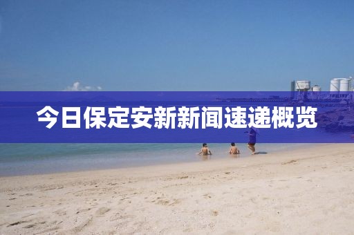 今日保定安新新闻速递概览