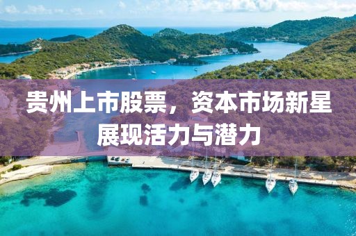 贵州上市股票，资本市场新星展现活力与潜力