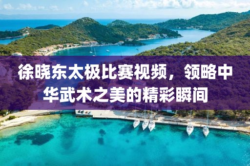 徐晓东太极比赛视频，领略中华武术之美的精彩瞬间