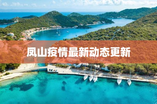 凤山疫情最新动态更新