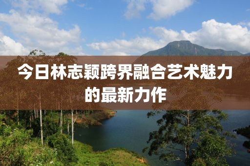 今日林志颖跨界融合艺术魅力的最新力作
