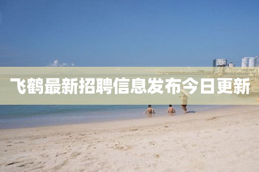 飞鹤最新招聘信息发布今日更新