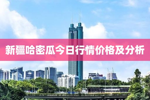 新疆哈密瓜今日行情价格及分析