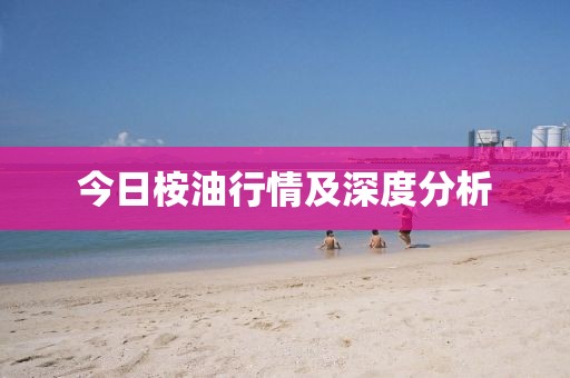 今日桉油行情及深度分析