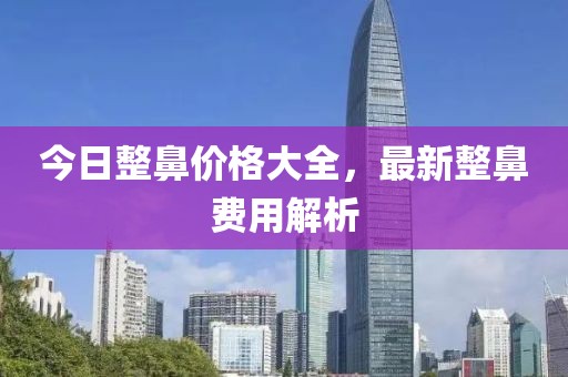 今日整鼻价格大全，最新整鼻费用解析