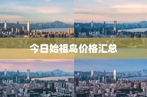 今日始祖鸟价格汇总