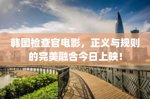 韩国检查官电影，正义与规则的完美融合今日上映！