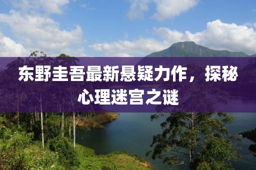 东野圭吾最新悬疑力作，探秘心理迷宫之谜