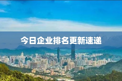 今日企业排名更新速递