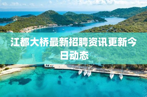 江都大桥最新招聘资讯更新今日动态