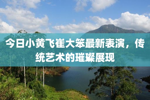 今日小黄飞崔大笨最新表演，传统艺术的璀璨展现