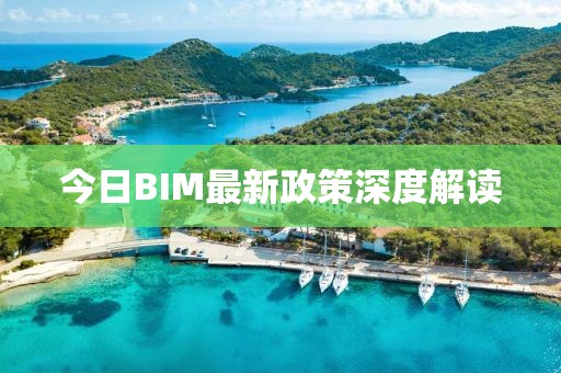 今日BIM最新政策深度解读