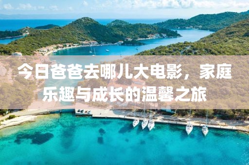 今日爸爸去哪儿大电影，家庭乐趣与成长的温馨之旅