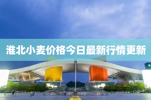 淮北小麦价格今日最新行情更新