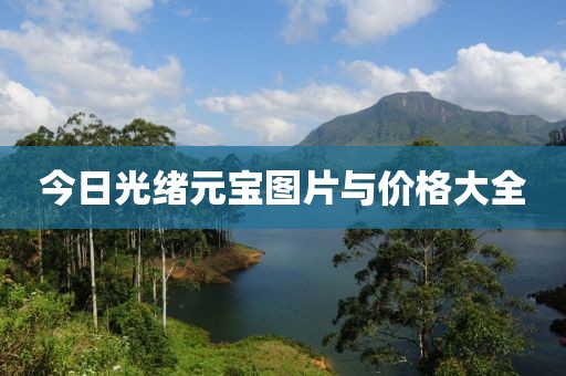 今日光绪元宝图片与价格大全