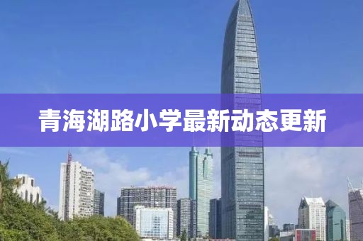 青海湖路小学最新动态更新