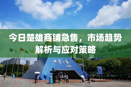 今日楚雄商铺急售，市场趋势解析与应对策略