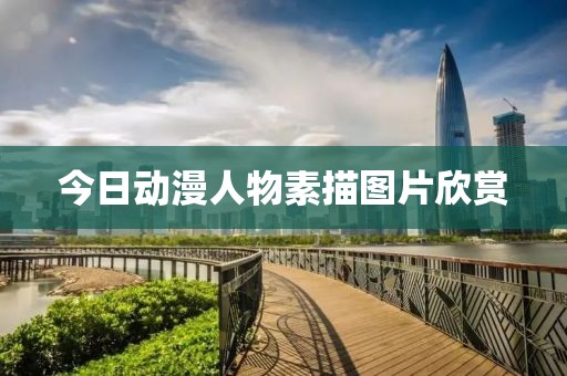 今日动漫人物素描图片欣赏