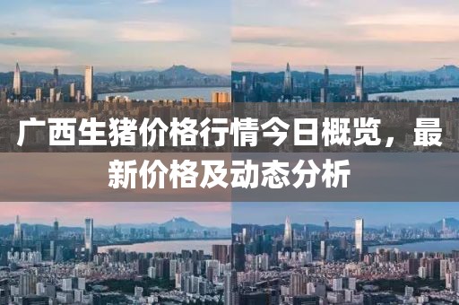 广西生猪价格行情今日概览，最新价格及动态分析