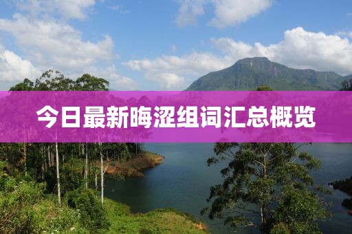 今日最新晦涩组词汇总概览