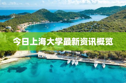 今日上海大学最新资讯概览