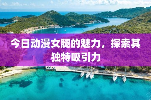 今日动漫女腿的魅力，探索其独特吸引力