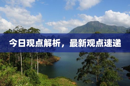 今日观点解析，最新观点速递