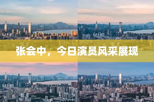 张会中，今日演员风采展现