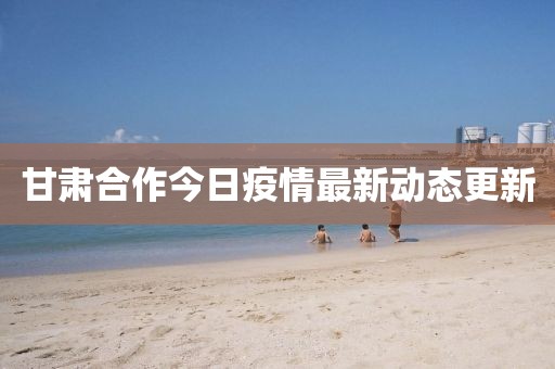 甘肃合作今日疫情最新动态更新