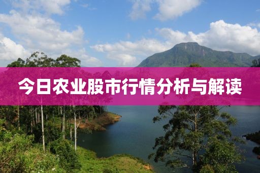 今日农业股市行情分析与解读