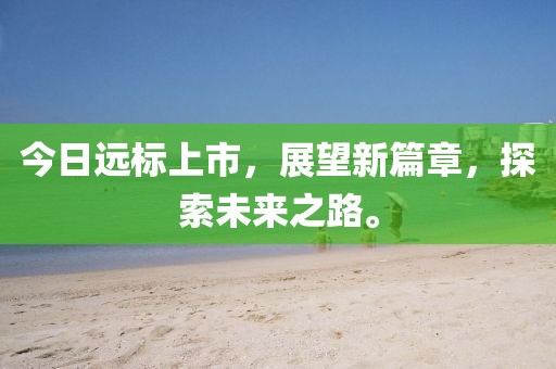 今日远标上市，展望新篇章，探索未来之路。