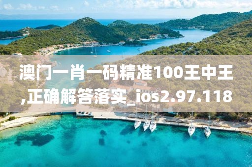 澳门一肖一码精准100王中王,正确解答落实_ios2.97.118