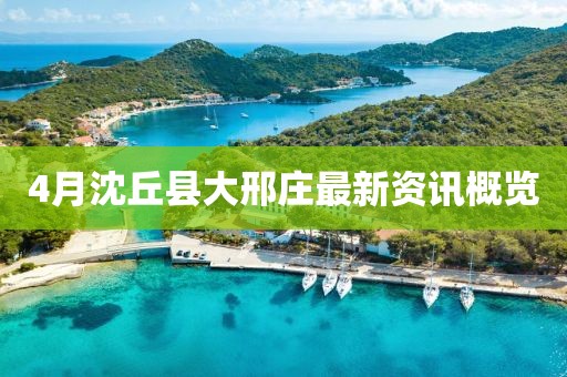 4月沈丘县大邢庄最新资讯概览