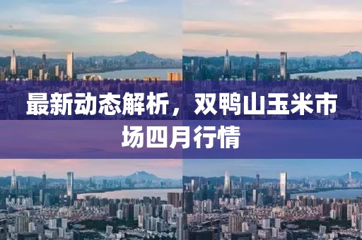 最新动态解析，双鸭山玉米市场四月行情