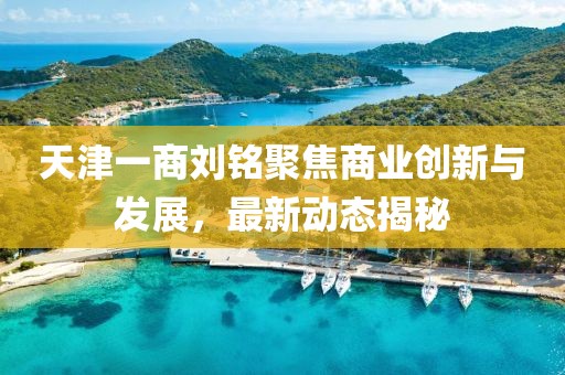 天津一商刘铭聚焦商业创新与发展，最新动态揭秘