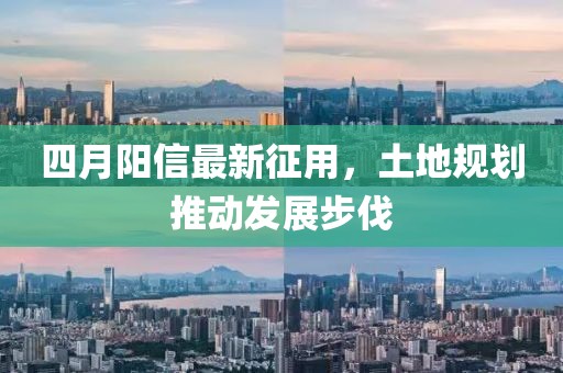 四月阳信最新征用，土地规划推动发展步伐