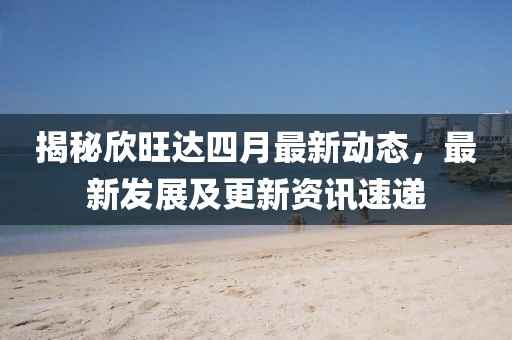 揭秘欣旺达四月最新动态，最新发展及更新资讯速递