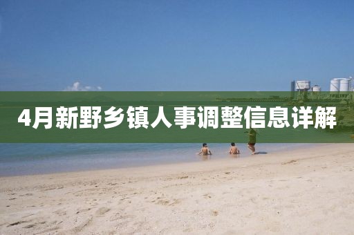 4月新野乡镇人事调整信息详解