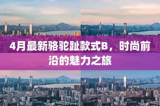 4月最新骆驼趾款式B，时尚前沿的魅力之旅