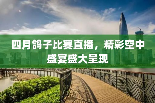 四月鸽子比赛直播，精彩空中盛宴盛大呈现