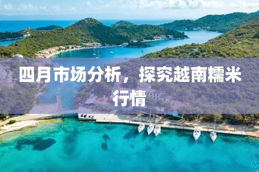 四月市场分析，探究越南糯米行情