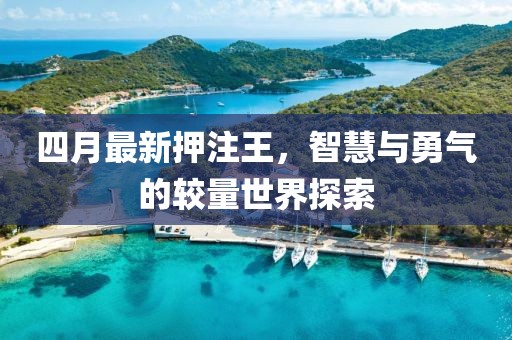 四月最新押注王，智慧与勇气的较量世界探索