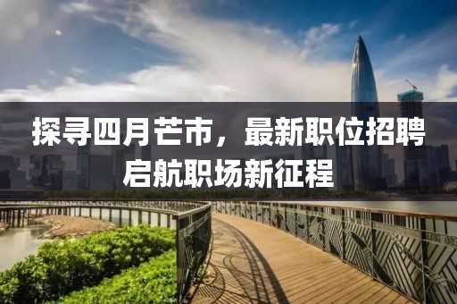 两把枪闯天下