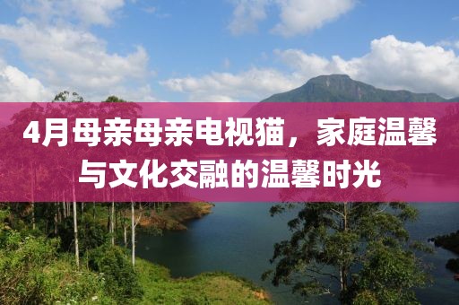 4月母亲母亲电视猫，家庭温馨与文化交融的温馨时光