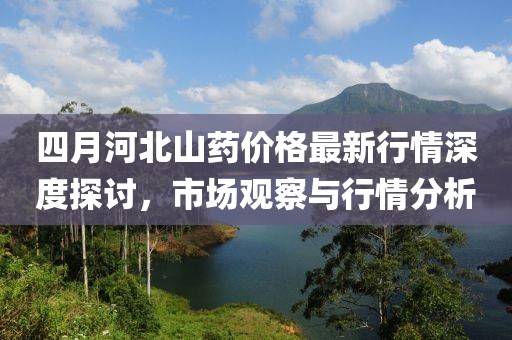 四月河北山药价格最新行情深度探讨，市场观察与行情分析