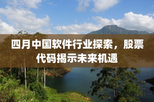 四月中国软件行业探索，股票代码揭示未来机遇