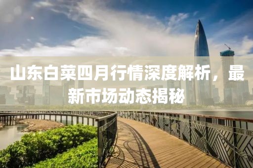 山东白菜四月行情深度解析，最新市场动态揭秘