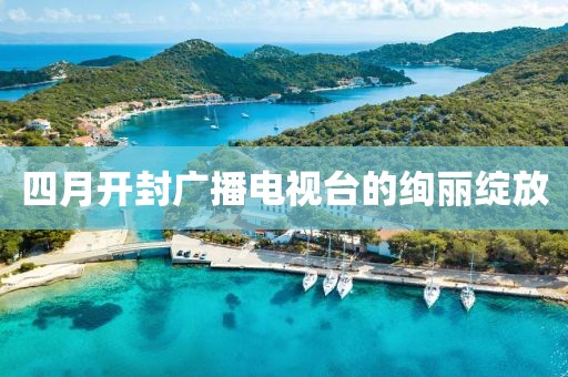 四月开封广播电视台的绚丽绽放