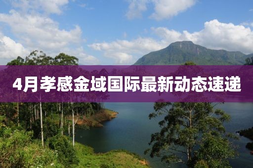 轮式挖掘机配件 第14页