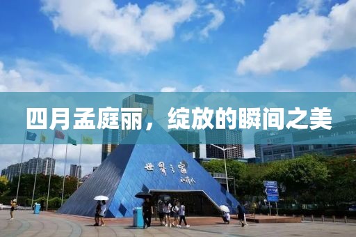 四月孟庭丽，绽放的瞬间之美
